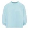 Fond Sweatshirt | Light Blue -A.P.C. Store unnamed file 662