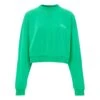 Sundance Dominique Sweatshirt | Green